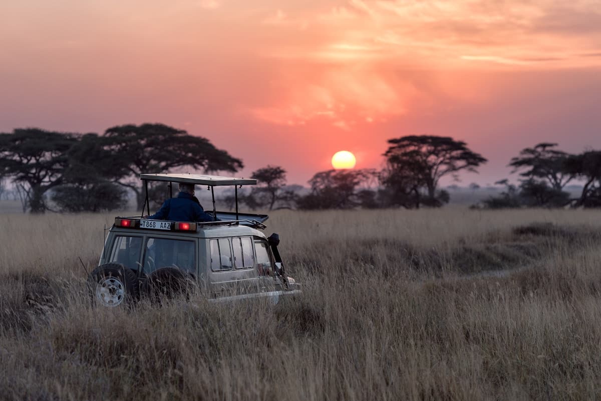 Photographing Africa: The Safari Photographer's Essential Handbook